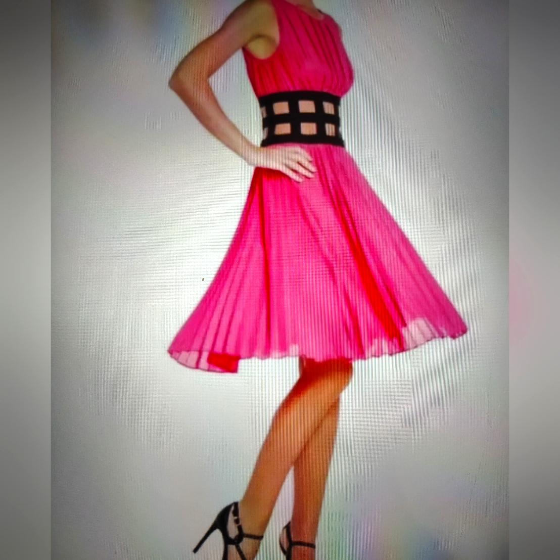 Bcbgmaxazria New Ultra Pink Pleated Dress W Caged Waist Swing Party Time Sz Sm